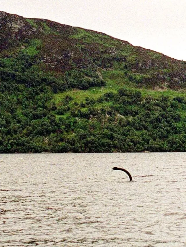 0_MYSTERIOUS-CREATURE-POSSIBLY-THE-LOCH-NESS-MONSTER-IN-LOCH-NESS-SCOTLAND-BRITAIN-2002