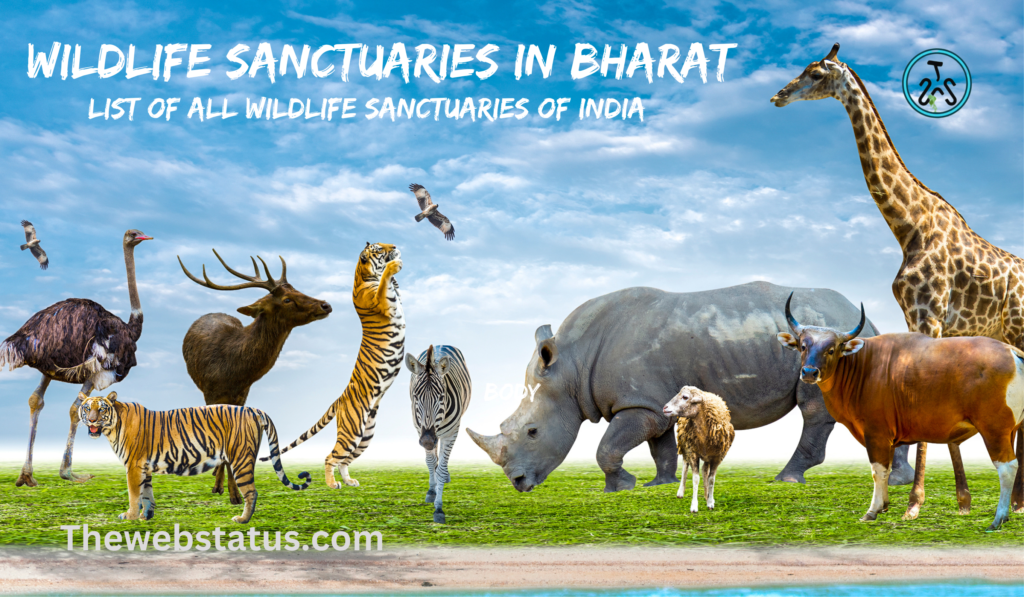 Wildlife Sanctuaries in Bharat: List of All Wildlife Sanctuaries of India