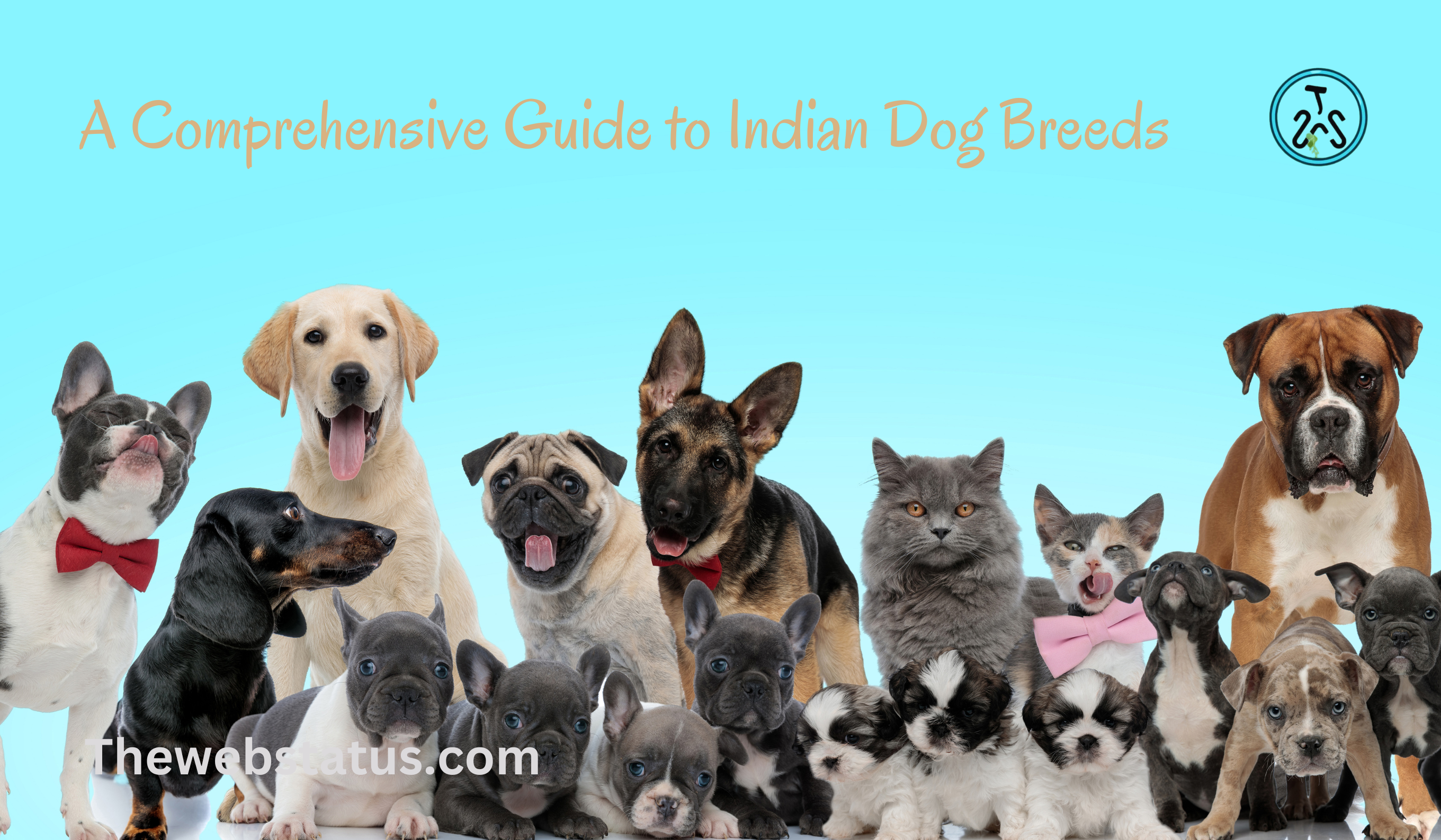 Diverse Canine Heritage: A Comprehensive Guide to Indian Dog Breeds