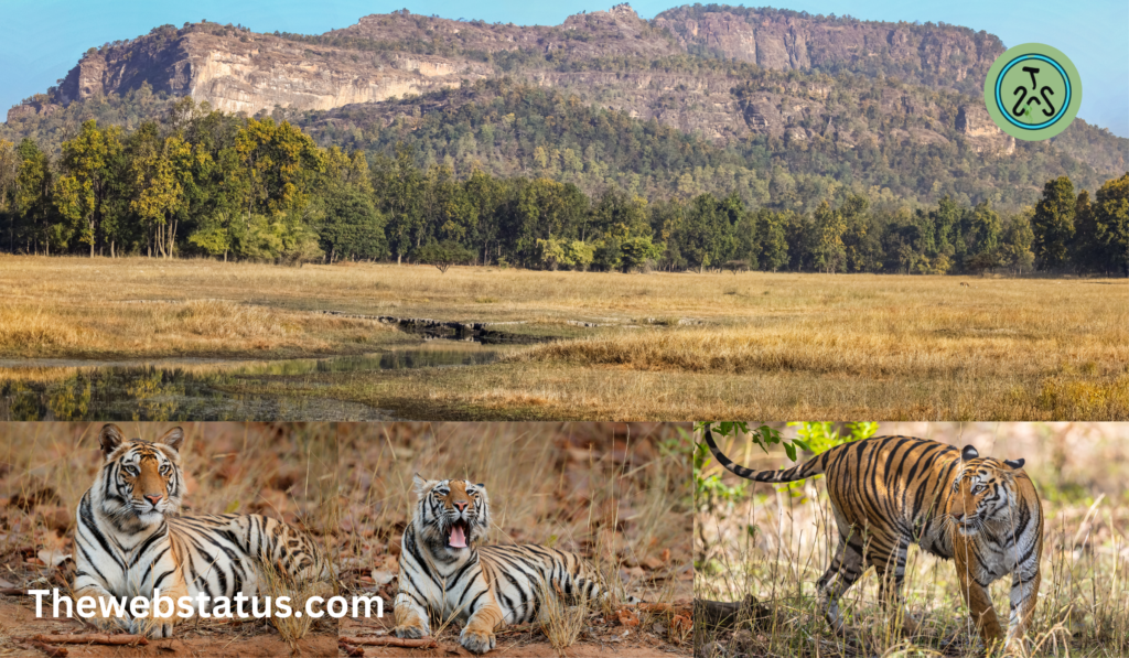 Bandhavgarh National Park