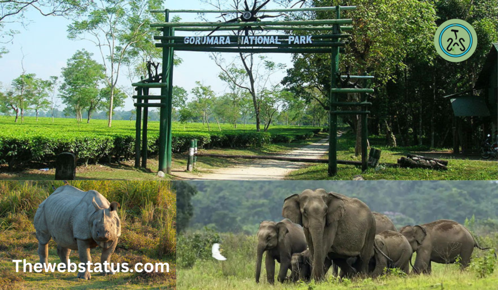 Gorumara National Park