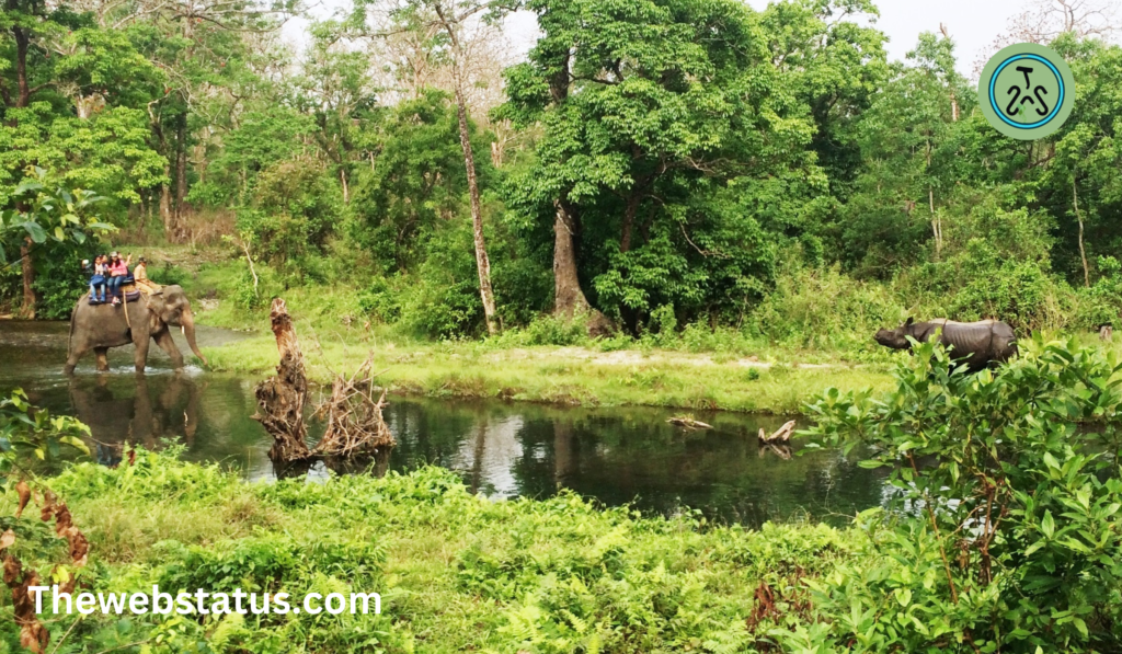 Jaldapara National Park