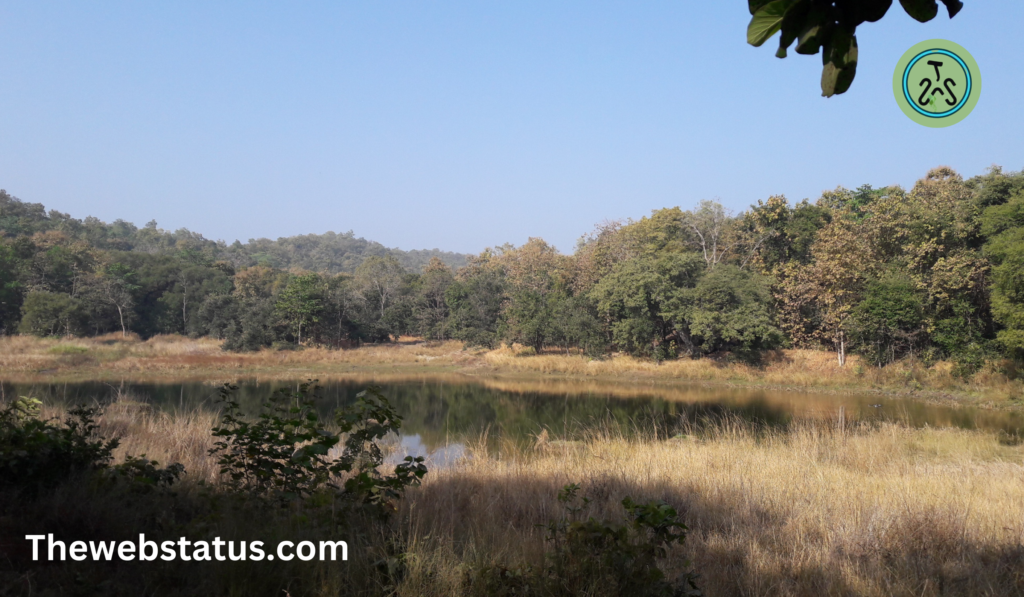 Jawaharlal Nehru Pench National Park