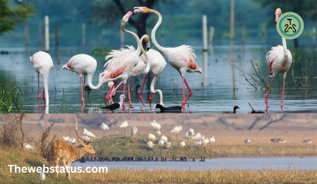 Keoladeo National Park