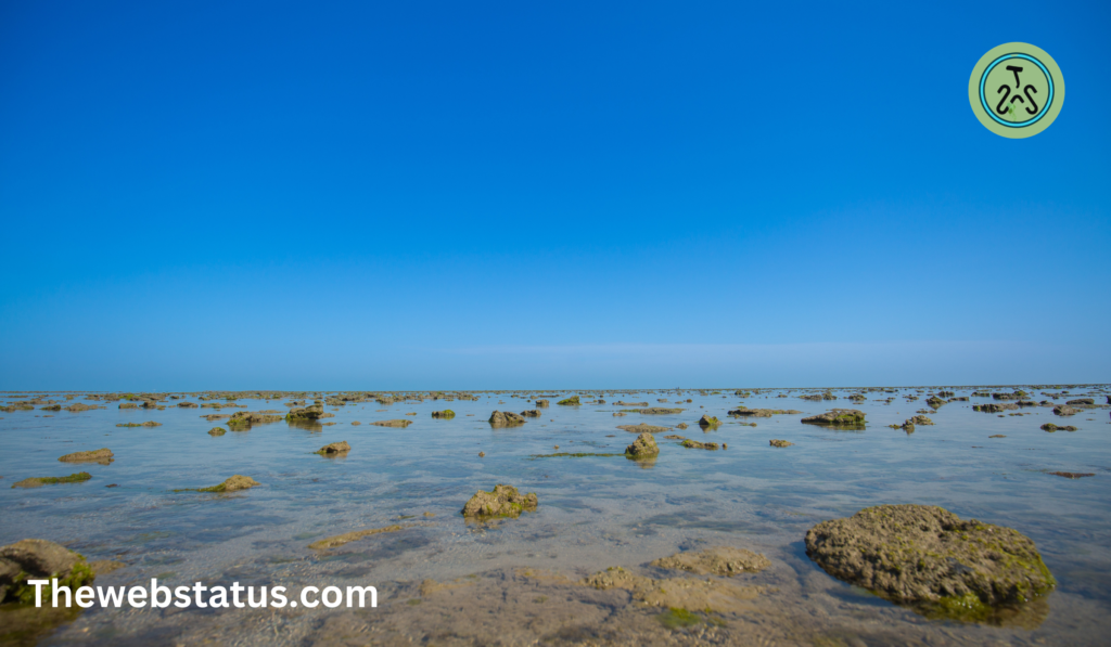 Marine (Gulf of Kachchh) National Park