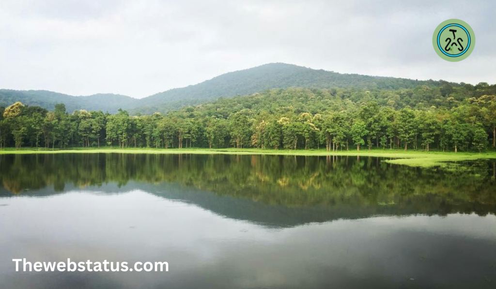 Navegaon National Park