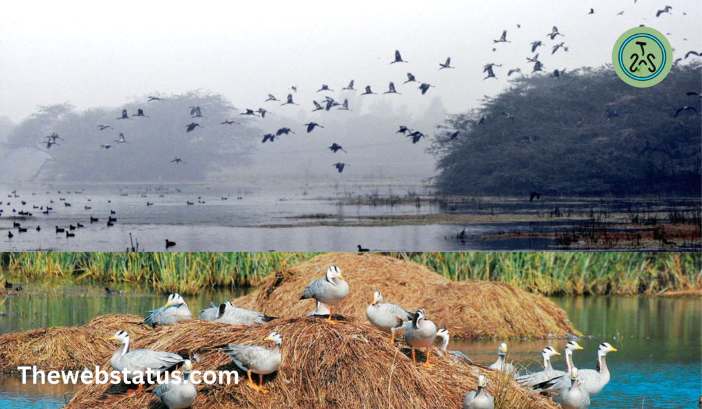 Sultanpur National Park