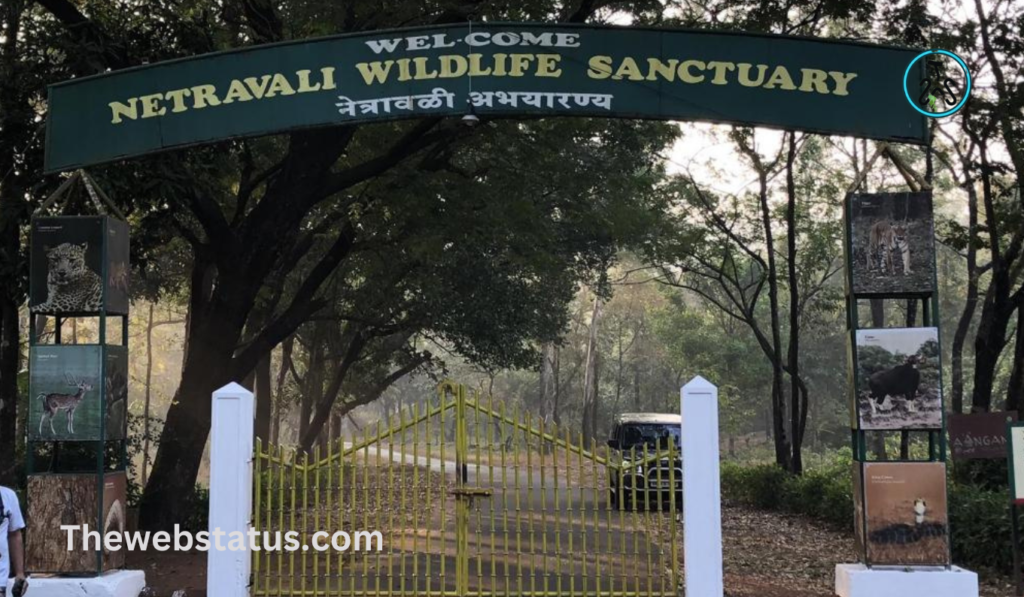 List of Wildlife Sanctuaries of Goa