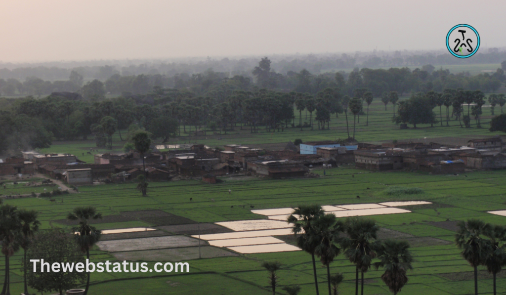 Rajauli Wildlife Sanctuary