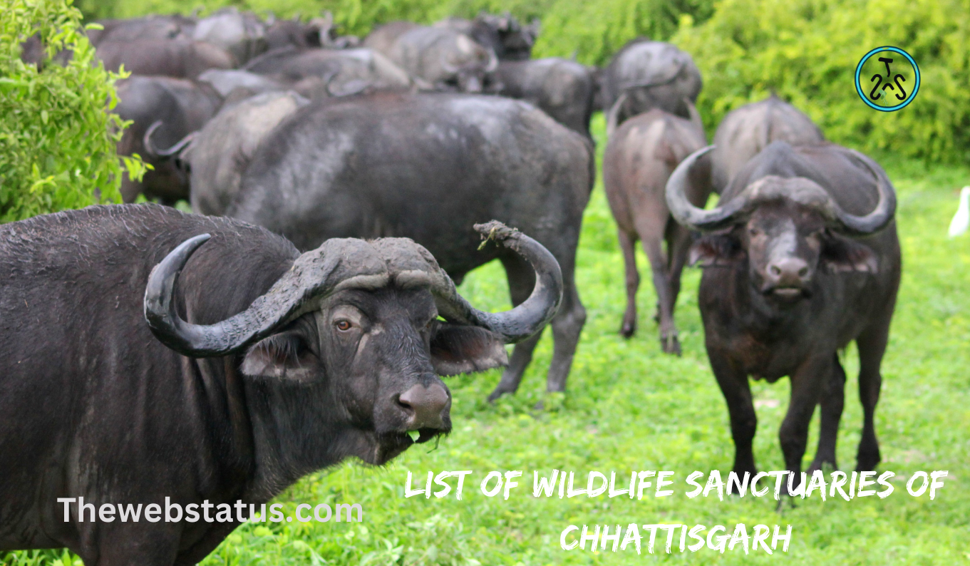 List of Wildlife Sanctuaries of Chhattisgarh