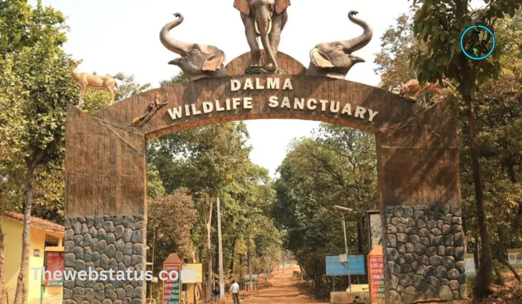 List of Wildlife Sanctuaries of Jharkhand