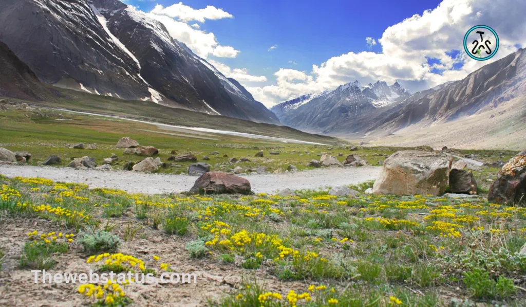 List of Wildlife Sanctuaries of Ladakh