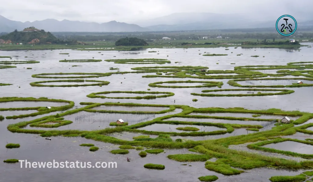 List of Wildlife Sanctuaries of Manipur