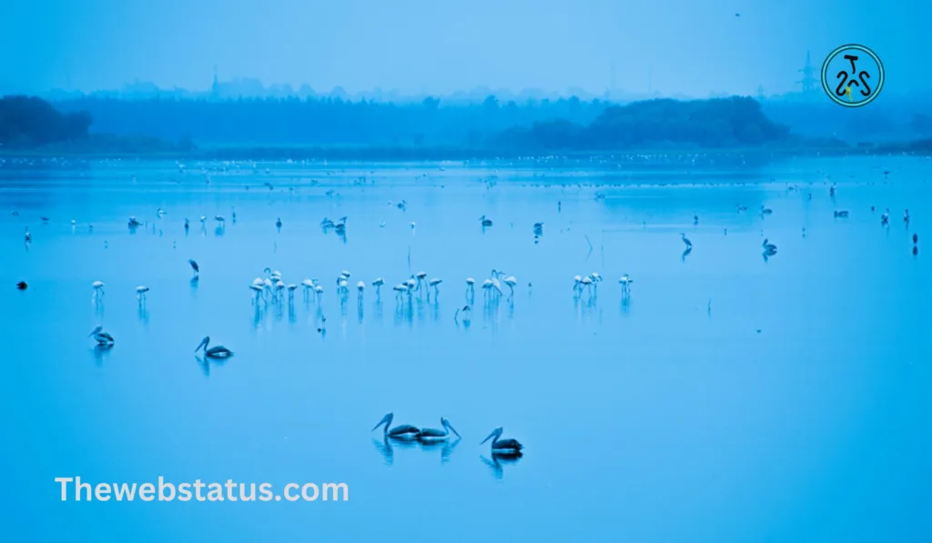 List of Wildlife Sanctuaries of Pondicherry