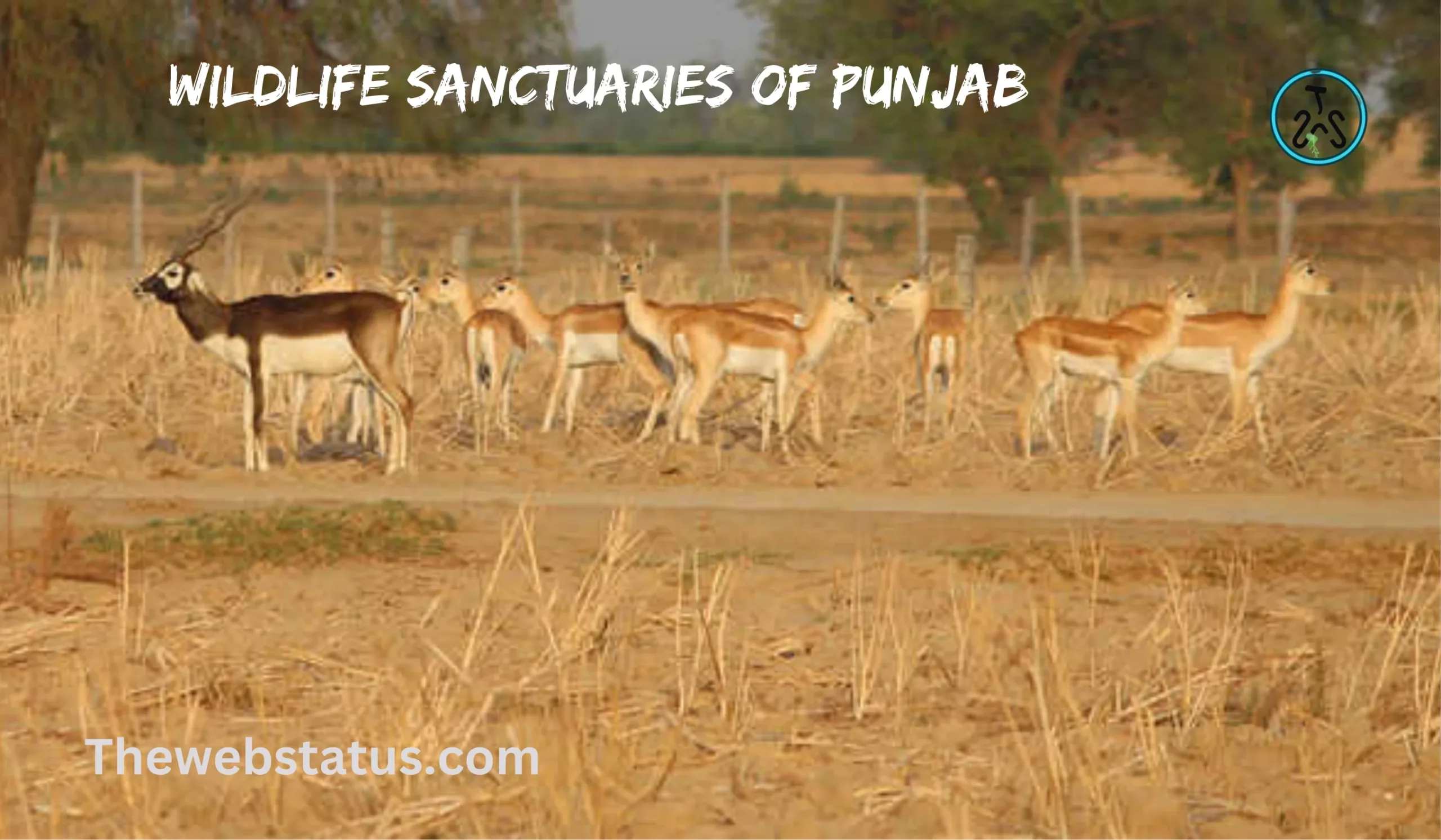 List of Wildlife Sanctuaries of Punjab